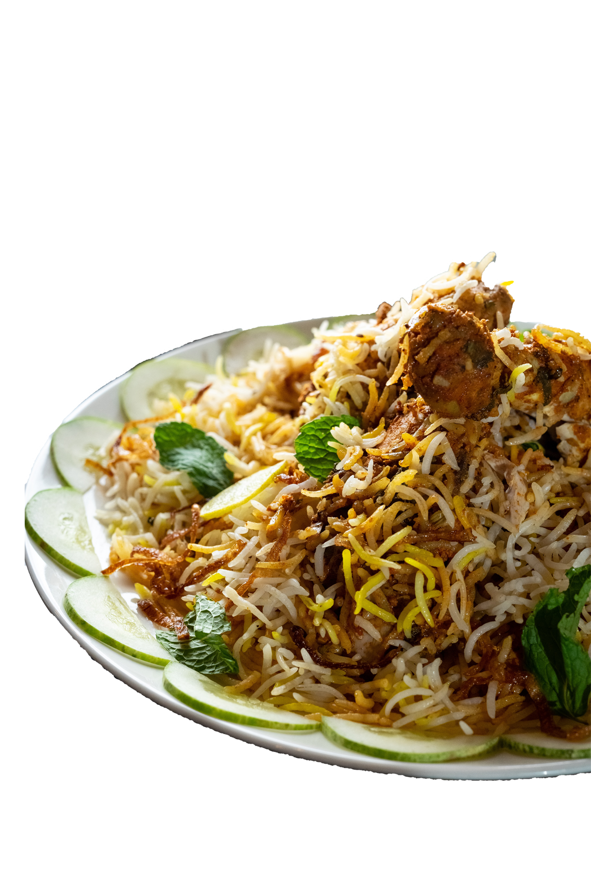 biryani picture